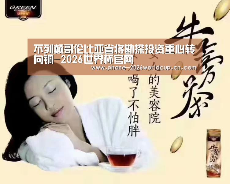 不列颠哥伦比亚省将勘探投资重心转向铜-2026世界杯官网(图3) 世界杯买球