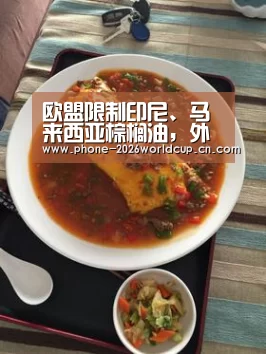 欧盟限制印尼、马来西亚棕榈油,外界担忧引发“贸易战”【2026世界杯】(图3) 世界杯买球
