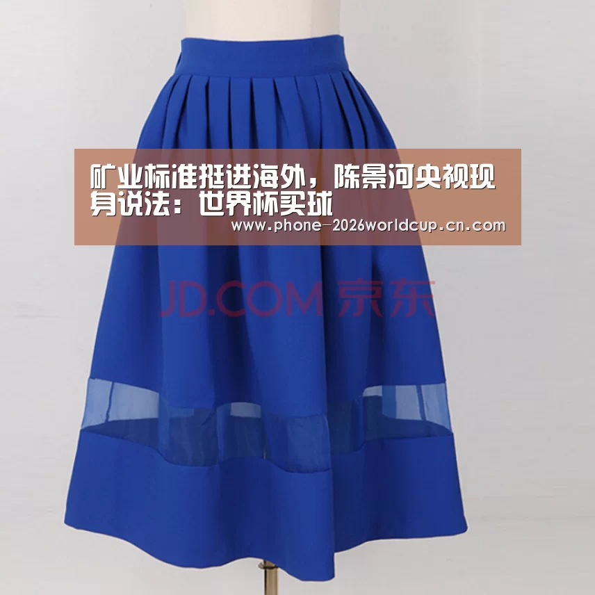 矿业标准挺进海外,陈景河央视现身说法:世界杯买球(图3) 2026世界杯官网