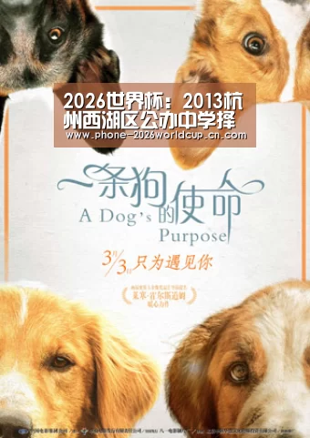 2026世界杯:2013杭州西湖区公办中学择校经验,家长评论汇总(图2) 2026世界杯官网